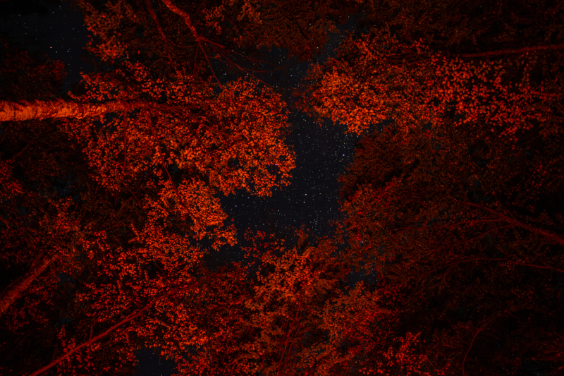 Campfire-Stars2