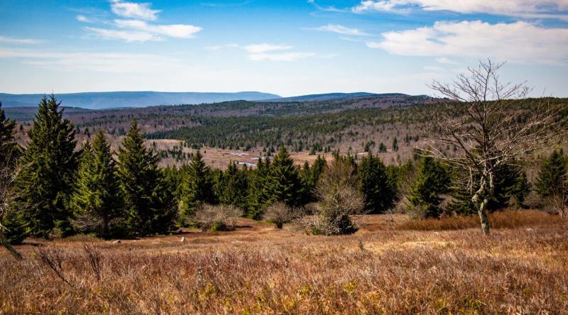 Dolly-Sods-Ravens-Ridge