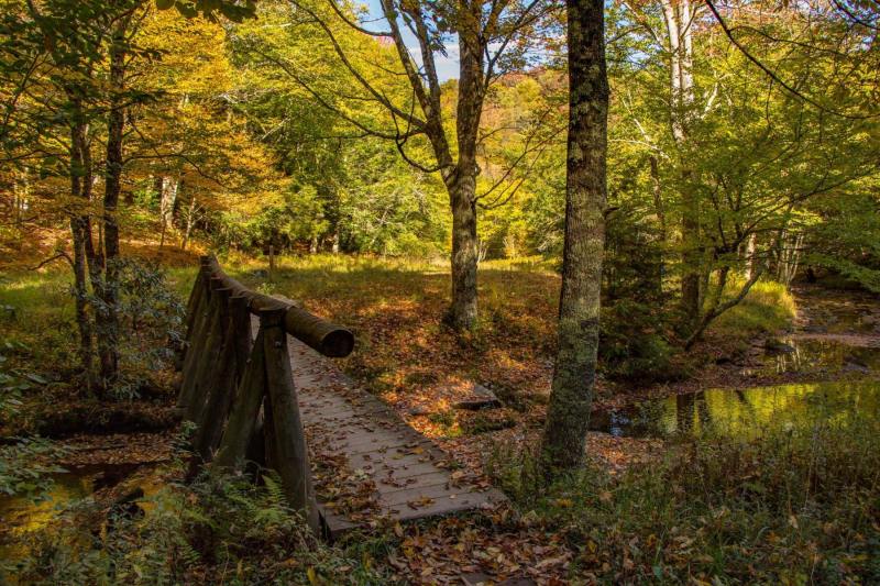 Sececa-Creek-Bridge