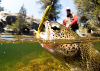 InnerAction Media Announces Strategic Partnership with Fly Rod Chronicles